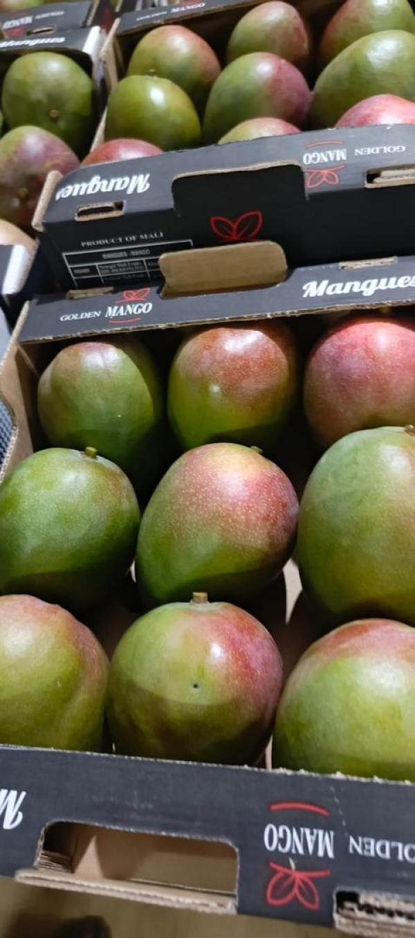  Agri Fruits Et Legumes - fruits et légumes nous sommes une entreprise &eacute;mergeante au mali,  install&eacute;e dans la r&eacute;gion de sikasso et sp&eacute;cialis&eacute;e dans l identification,  la collecte,  le conditionnement,  la vente et l exportation des fruits et l&eacute;gumes de qualit&eacute;.--en consid&eacute;rant les aspects li