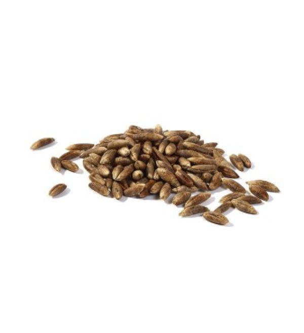  Noyaux De Dattes - fruits et légumes vend noyaux de dattes ,  vend noyaux de dattes,  vend noyaux de dattes,  vend noyaux de dattes,  vend noyaux de dattes