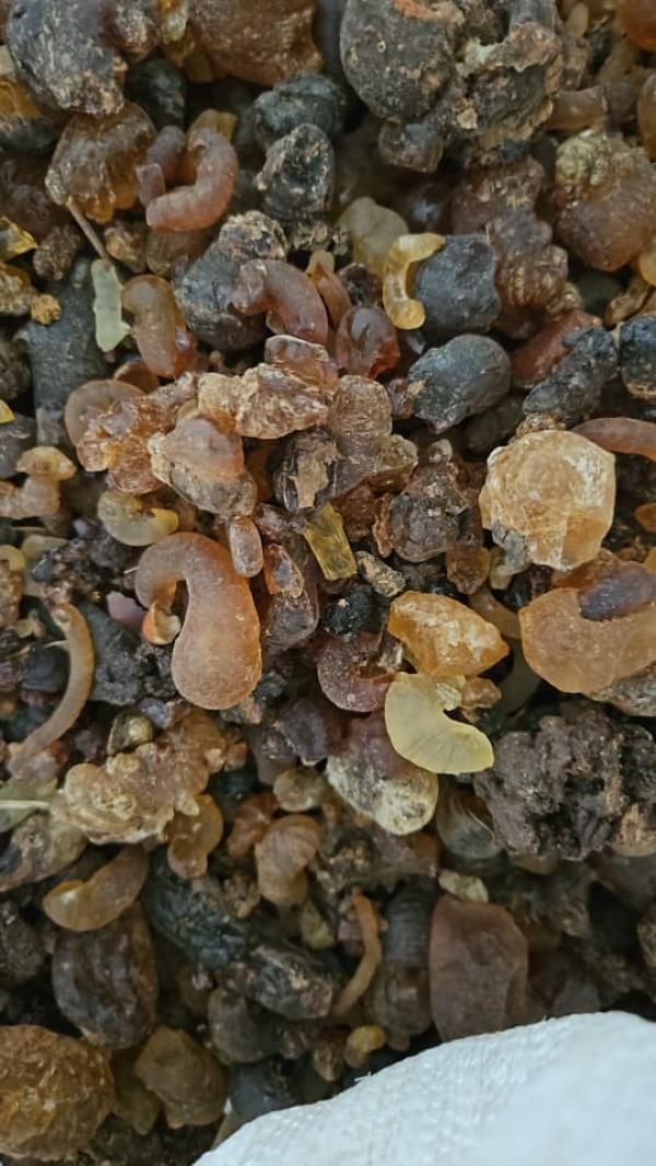  Stock De Gomme Arabique Arabic Gum Pour Vous - autres nous disposons d'un stock important de gomme arabique ou arabic gum en c&ocirc;te d'ivoire cnnue sous le nom de gomme d'acacia (e414) pour les additifs alimentaire--elle est extraite de certains acacias de la c&ocirc;te d'ivoire et utilis&eacute;e comme &eacute;mulsifiant,  stabilisant,  liant et &eac