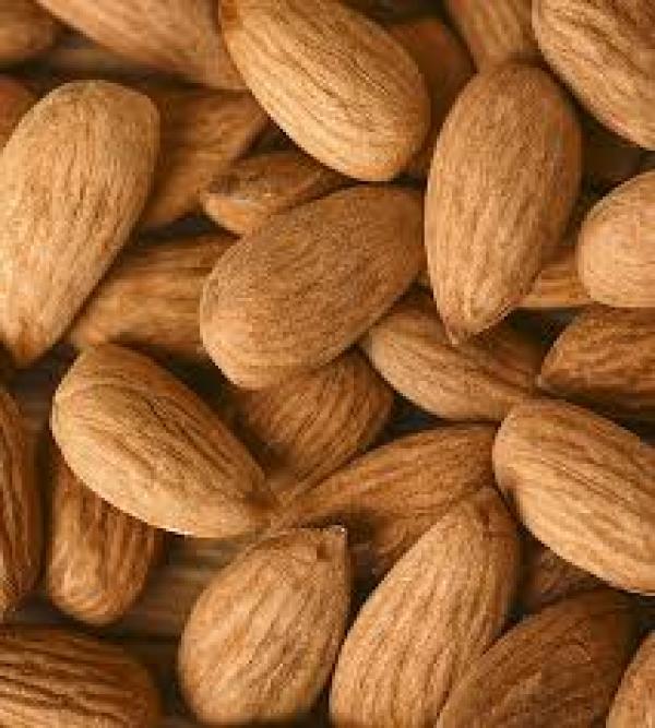  Recherche Producteurs Amande Douce - autres nous recherchons des producteurs ou coop&eacute;ratives fiables sp&eacute;cialis&eacute;s dans l amande douce (enti&egrave;re ou d&eacute;cortiqu&eacute;e),  dans une logique de partenariat durable pour des march&eacute;s professionnels et l export. une attention particuli&egrave;re sera port&eacute;