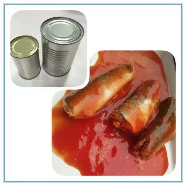  Boites De Sardines La Sauce Tomate - conserve semi conserve nous sommes sp&eacute;cialises dans la commercialisation et l'exportation de poissons tels que tilapia,  maquereau,  thon,  chinchard et mulet. nous proposons du poisson congel&eacute;, poisson sale, poisson seche ou en bo&icirc;te de conserve.nous assurons des arrivages r&eacute;guliers dans les ports a