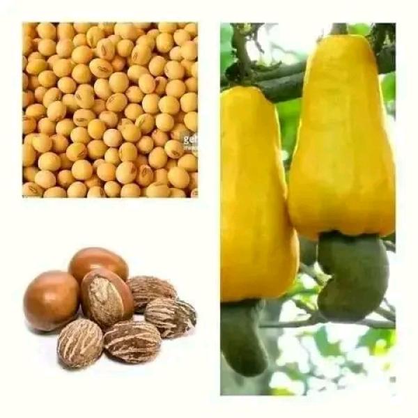  Produits Tropicaux Bénin - fruits secs et graines grillées *recherche de partenaires pour les produits tropicaux du b&eacute;nin*----nous sommes &agrave; la recherche de partenaires commerciaux pour exporter des produits tropicaux de haute qualit&eacute; issus du b&eacute;nin. nous proposons une gamme vari&eacute;e de produits,  notamment ------ *soja*--- *n