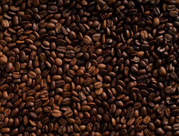 Café De Qualité Supérieure, Goût Authentiqu - café cacao thé cultivo de cafe caf&eacute; de qualit&eacute; sup&eacute;rieure go&ucirc;t authentique garanti un caf&eacute; soigneusement s&eacute;lectionn&eacute; pour les vrais amateurs livraison rapide et fiable directement chez vous passez votre commande d&egrave;s maintenant – contactez nous par mail la