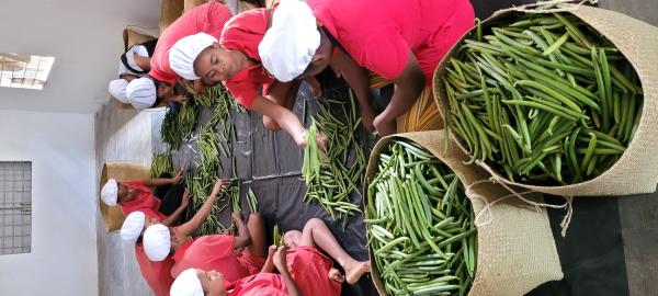  Vanille De Madagascar Toutes Qualités - épices aromates pr&eacute;parateur et exportateur de vanille depuis 7 ans bas&eacute; &agrave; madagascar. nous proposons toutes qualit&eacute;s et tous types de vanilles pr&eacute;par&eacute;es et tri&eacute;es selon les standards export pour r&eacute;pondre aux besoins des artisans grossistes et industriels. 