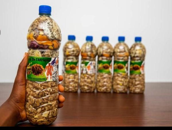  Kokiille Des Noix De Palme - fruits et légumes je suis la pour vos besoins des kokiille des noix de palme pour plus d'informations veuillez nous contacter.