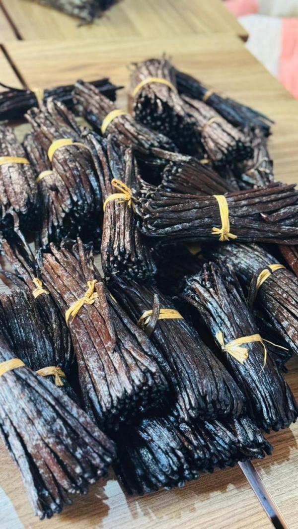  Vanille Bourbon De Madagascar - épices aromates vanille de madagascar   qualit&eacute; premium pour l exportation nous proposons de la vanille naturelle de madagascar,  soigneusement s&eacute;lectionn&eacute;e,  id&eacute;ale pour les professionnels de l agroalimentaire,  p&acirc;tissiers,  chocolatiers et importateurs. caract&eacute;ristiques-vanill