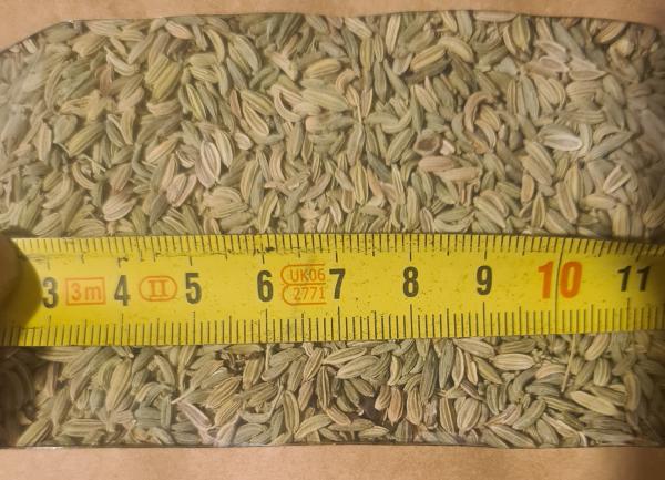  Seeds Fennel Foeniculim Vulgare - aromatic spices 99 5 % purity fennel seeds fob ewx bulgaria for order moq 24 tons price negotiation cif or dap depends on the delivery address