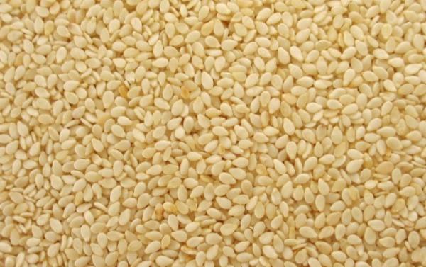  Sésame Blanc - fruits secs et graines grillées nous disposons d'une grande grande quantit&eacute; de s&eacute;same blanc au s&eacute;n&eacute;gal nouvelle r&eacute;colte. avec un prix tr&egrave;s comp&eacute;titifs si cela vous int&eacute;resse veuillez nous contacter pour plus d'informations.