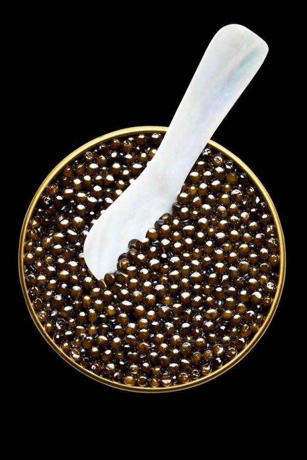  Caviar - poissons grossiste caviar   france & international--livraison rapide partout en france----caviar   prix sur demande--petites et grandes quantit&eacute;s   formats de 10g &agrave; 1.8kg----caviar fran&ccedil;ais premium----baeri & oss&eacute;tra igp   &eacute;levage durable en france----qualit&eacute; sup&eac