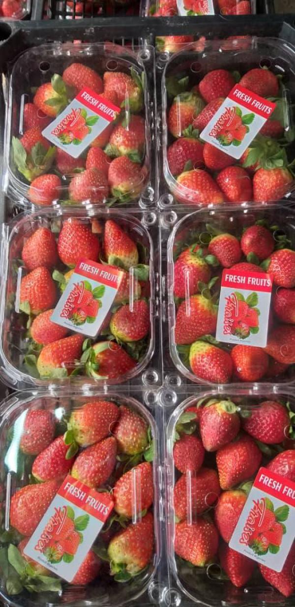  Légumes Dattes, Fruits, Alimentaire - fruits et légumes -  l'un des meilleurs de l'alg&eacute;rie au monde --nous exportons la qualit&eacute;... et nous nous engageons &agrave; faire confiance--nous vous fournissons les meilleurs produits alg&eacute;riens orient&eacute;s vers l'exportation ---l&eacute;gumes et fruits frais --  haute qualit&eacute;--  tri