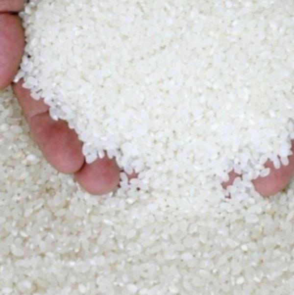  Riz 100% Brisure - autres riz 100% brisure de bonne qualit&eacute; bien tri&eacute; et sans impuret&eacute;s tr&eacute;sor utilis&eacute; pour la consommation locale et les industries alimentaires 