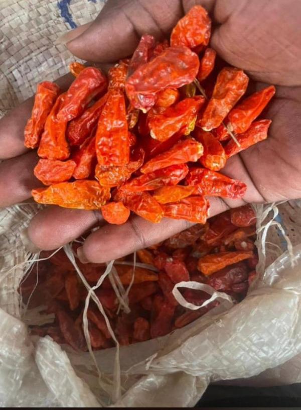  Les Produits Secs - fruits secs et graines grillées nous sommes une entreprise familiale dans le domaine commercial situ&eacute;e &agrave; touba march&eacute; ocass s&eacute;n&eacute;gal nous sommes des grands fournisseurs et distributeurs des produits secs tel que piment sadam piment contre sadam piment nig&eacute;ria tamarin inde poudre de baobab