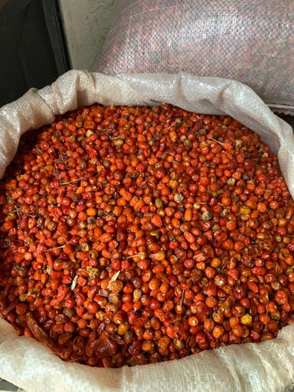  Piment Tamarin Bissap Haricots Café Graines, Gimg - fruits secs et graines grillées piment tamarin bissap haricots caf&eacute; graines gimginbre poudre de baobab huile de baobab huile de miel 