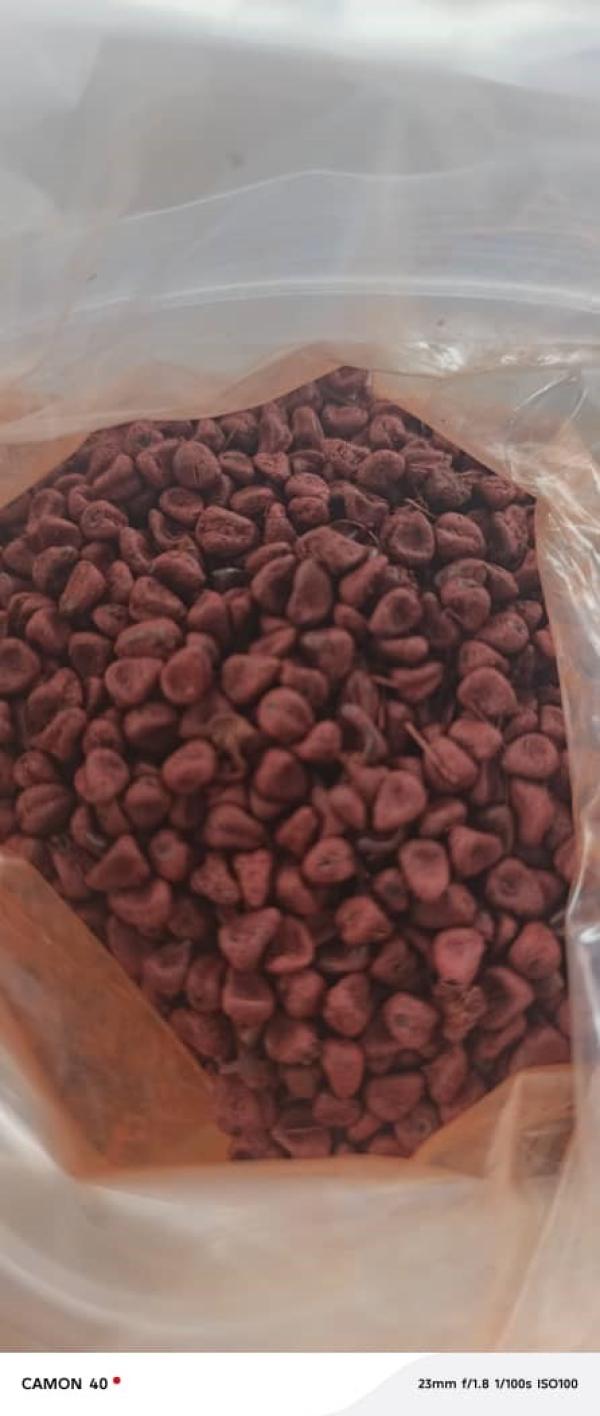  Vente De Roucou - fruits secs et graines grillées nous disposons et vendons roucou bien s&eacute;ch&eacute; disponible en c&ocirc;te d'ivoire dans la zone de bondoukou et daoukro. nous cherchons des clients fiables. nous sommes dispos&eacute;s pour un contrat sur une grande quantit&eacute;.