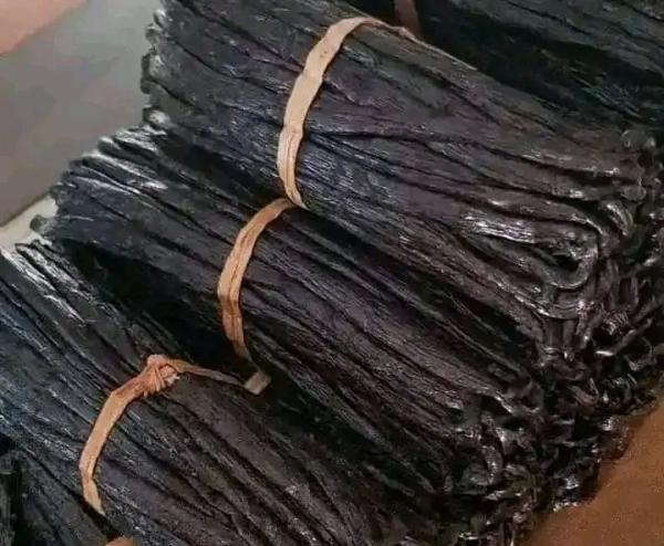  Madagascar Natural Vanilla - aromatic spices for sales madagascar vanilla grade a 250kg/kg a week. moisture rate 30% (+/ 2%); size 16cm and up. vaniline content 1.6% 2.2%. for this month we make 25% 10% . under our current commercial offers we are pleased to grant you a discount of between 10% and 25% for any sales contract concluded 