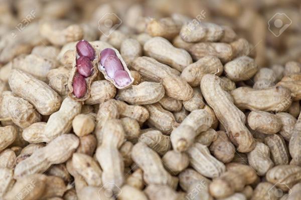  Huile Rouge Et Blanc De Palme - fruits et légumes contacter moi si vous avez besoin de huile rouge au b&eacute;nin . je suis fournisseur en grande quantit&eacute; bidon 25 litre ou baril les bidon et baril sont &agrave; la charge du client du vrai huile rouge de palme et huile rouge blanc de palme . 