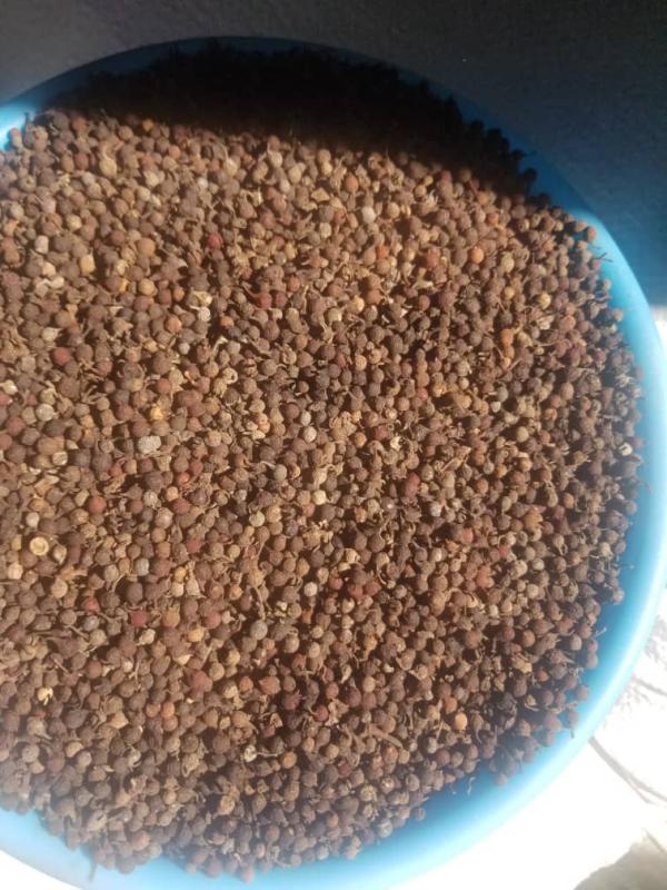  Poivre Noir Disponible Lomé - café cacao thé poivre noir disponible &agrave; lom&eacute; en grande quantit&eacute; 19 tonnes ( 190 sacs de 100 kg ) conditionnement sacs de 100 kg prix 600 000 fcfa le sac plainsantain s'abstenir 
