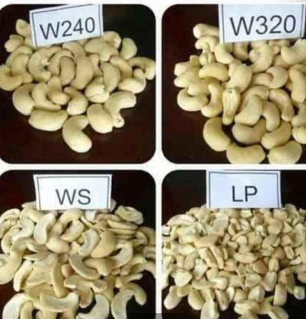  Cashews New - roasted seeds and nuts we have a large quantity of raw and shelled cashews. we are looking for customers who can purchase our inventory. if you are interested please contact us for more product information.