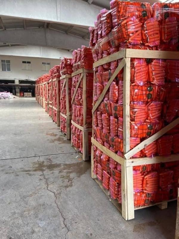  Carottes Marocaines Qualité Export - fruits et légumes disponibles pour export – saison actuelle ✔ fra&icirc;ches & croquantes ✔ calibres r&eacute;guliers ✔ qualit&eacute; export – bonne tenue au transport ✔ conditionnement sacs / cartons export fob / cif – air & maritime
