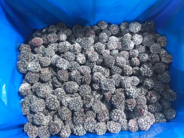  Mûre Surgelées Du Maroc Vendre - fruits et légumes  nous proposons des mure surgel&eacute;es iqf dans un packaging carton 10kg ou 20kg selon vos besoins 