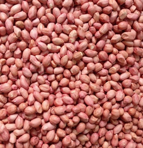  Arachides Décortiqué - fruits secs et graines grillées  nous avons une grande quantit&eacute; de arachides d&eacute;cortiqu&eacute; nouvelle r&eacute;colte 2025 et nous recherchons des clients. veuillez nous contacter pour plus d'informations 