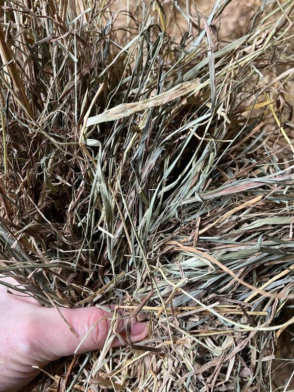  Foin De Prairie Naturelle Qualité Élevage - aliments pour animaux vends foin de prairie naturelle de bonne qualit&eacute; adapt&eacute; &agrave; l’alimentation des bovins ovins caprins et chevaux. foin r&eacute;colt&eacute; dans de bonnes conditions bien sec sans &eacute;chauffement. stock&eacute; &agrave; l’abri sous b&acirc;timent. • type de bottes balles 