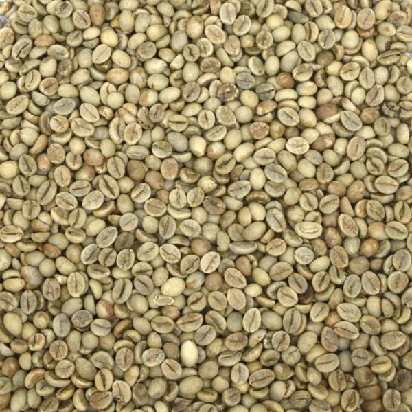  Café Robusta - café cacao thé vente de caf&eacute; robusta vert non torr&eacute;fi&eacute;s venant de sud est de madagascar. produit de qualit&eacute; et bien tri&eacute;. prix n&eacute;gociable selon la quantit&eacute; demand&eacute;e.