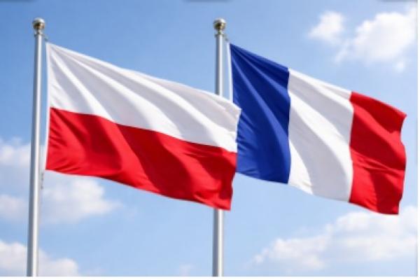  Accès Direct Aux Fournisseurs En Pologne - viandes et oeufs  nous sommes une soci&eacute;t&eacute; sp&eacute;cialis&eacute;e dans la mise en relation d’entreprises fran&ccedil;aises avec des fournisseurs polonais dans le domaine agroalimentaire. nous accompagnons nos clients &agrave; chaque &eacute;tape recherche et s&eacute;lection de fournisseurs 