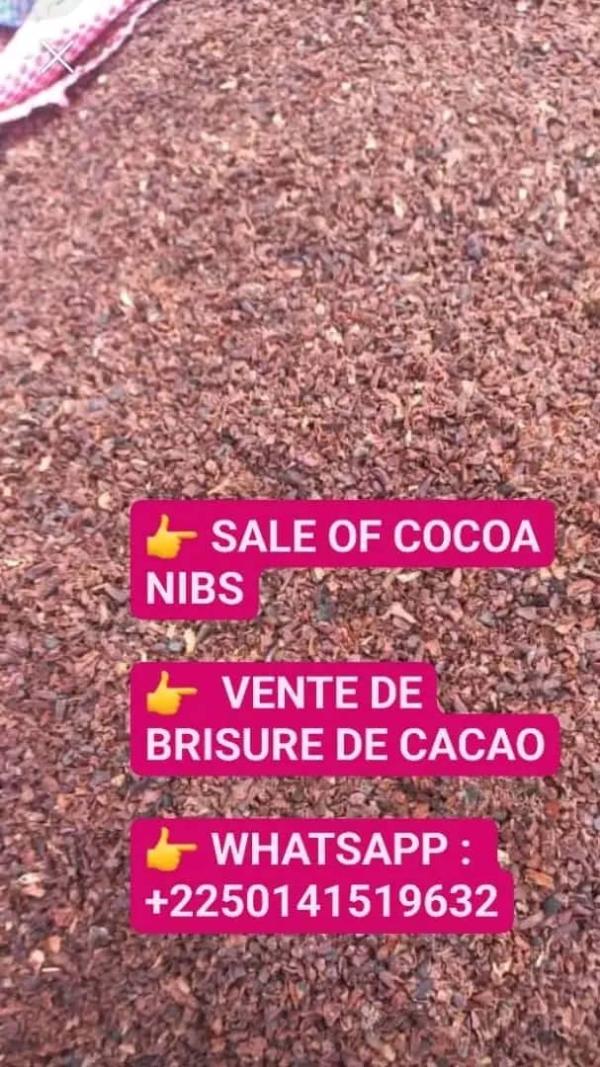  Sale Of Cocoa Nibs In Ivory Coast - coffee cocoa tea hello everyone. all your cocoa nib needs  please do not hesitate to contact me. we have a large quantity available.  sale of cocoa nibbs ffa 1.75%   &agrave; tous. pour tous vos besoins de brisures de cacao  n'h&eacute;sitez pas &agrave; me contacte