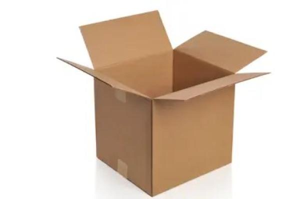  Caisse Carton - conditionnement caisse carton aux dimensions suivantes 235 x 175 x 160mm non marqu&eacute;s les cartons sont conditionn&eacute;s par 20.