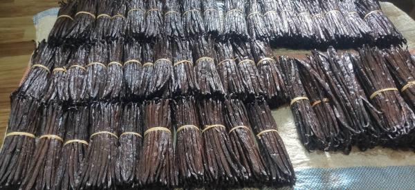 Vanille Bourbon De Madagascar - épices aromates vendre vanille de madagascar de vari&eacute;t&eacute; planifolia de culture et pr&eacute;paration traditionnelle. vanille de qualit&eacute; sup&eacute;rieure gousses souples l&eacute;g&egrave;rement huileuse parfums intense de couleur brun fonc&eacute; uniforme longue et charnue pour les