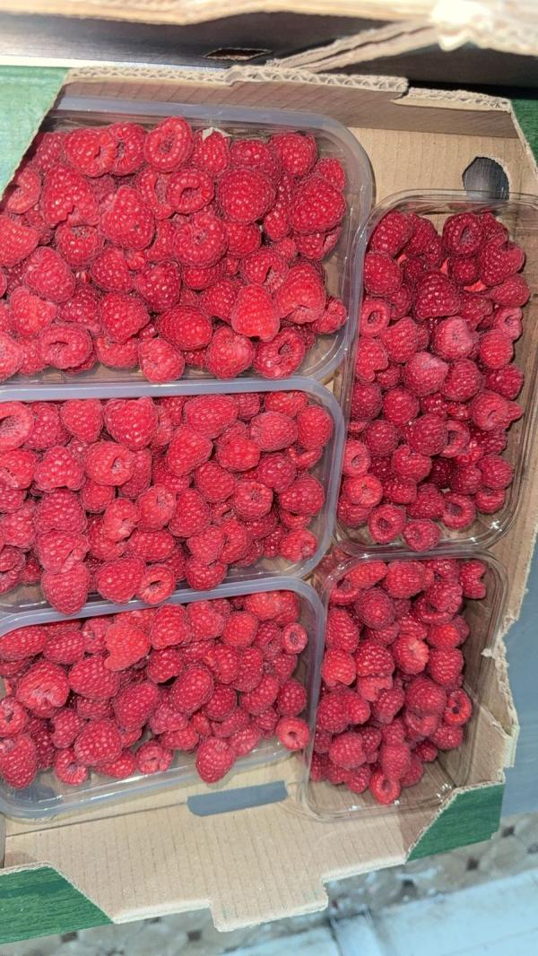  Framboise Surgelés - fruits et légumes  nous proposons des frais mure myrtille et framboise surgeles 90/10 et broken carton 10kg ou 20kg nous avons tous les documents sanitaire et les certifs qui respect les norme europ&eacute;enne (onssa global gap etc) nous sommes a votre disponibilit&eacute;.