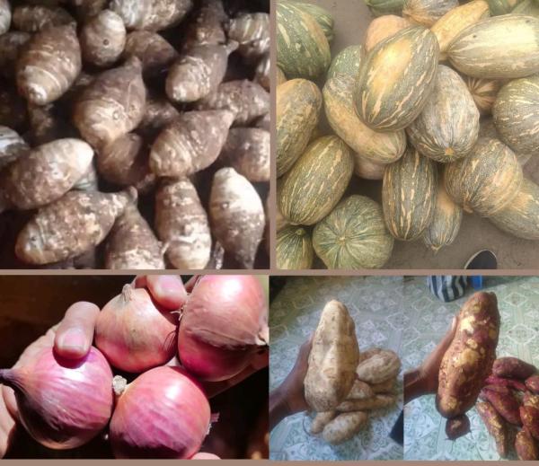  Proposés Aux Prix Fca Ou Aux Prix Fob - fruits et légumes  &agrave; tous nous sommes un fournisseur bas&eacute; &agrave; tananarive de madagascar nous fournissons de taros de patates douces de manioc secs d'oignons de citrouilles. on vous les propose aux prix fca ou prix fob. contactez nous pour plus d'informations. 