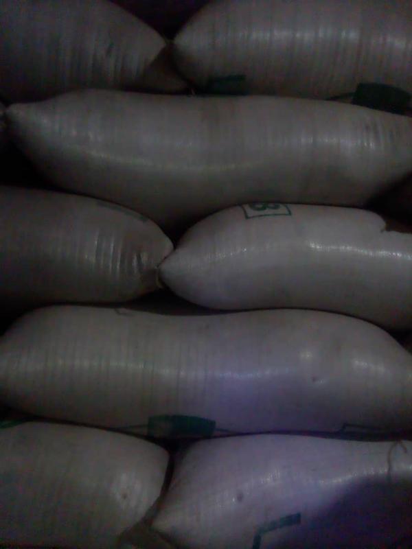  Besoin De Clients Pour La Vente De Sésames - semence graine plant j'ai 50 sacs de s&eacute;sames &agrave; vendre actuellement &agrave; douala. s&eacute;sames du nord de tr&egrave;s bonne qualit&eacute; tr&egrave;s bien propre et bien charg&eacute; dans le sac. 