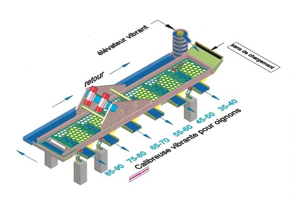  Calibreuse Vibrant Pour Oignons - fruits et légumes le nombre de grille d&eacute;termine le nombre de tris le mod&egrave;le 5 grilles permet d’avoir jusqu’&agrave; 5 tris. les sorties sont adaptables en fonction des besoins client. fabriqu&eacute;e en acier inoxydable la calibreuse est facile d’entretien