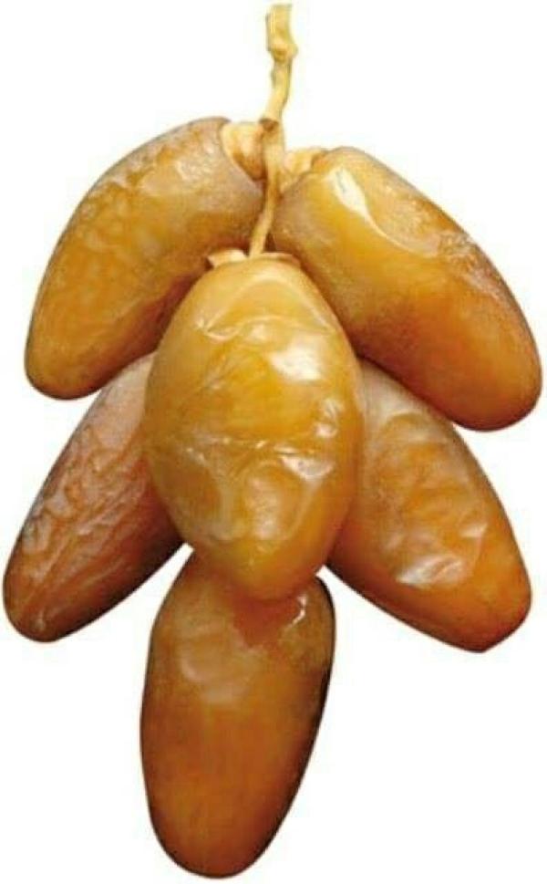  Datte Deglet Nour Export Qualité - fruits et légumes  nous pr&eacute;parons le stock de ramadan en dattes deglet nour. (algerie) export (qualit&eacute; a) possible en petites quantit&eacute;s. dispo en 500g 1kg vrac n’h&eacute;sitez pas &agrave; nous contactez pour plus d’informations. stock limit&eacute; premier venus premier 