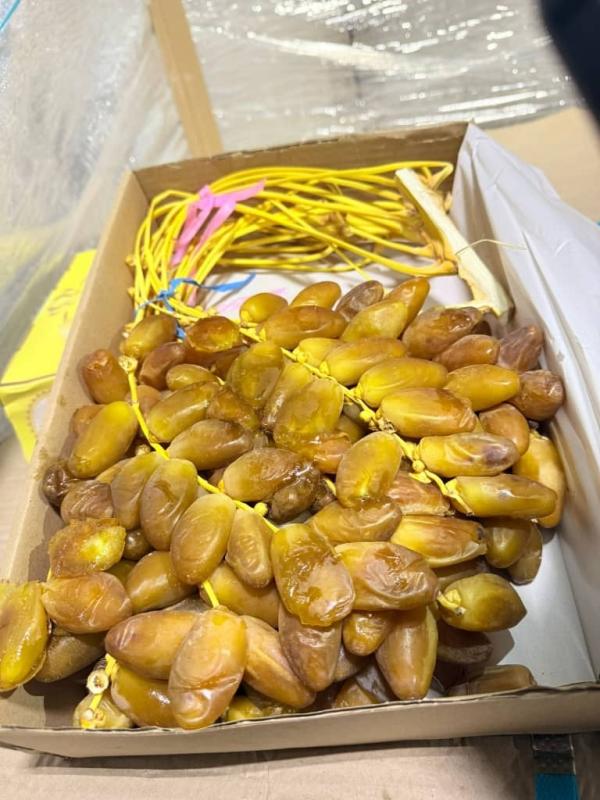  Dattes De L'algérie Deglet-nour - fruits secs et graines grillées nos dattes premium deglet nour proviennent directement de biskra l’une des r&eacute;gions les plus r&eacute;put&eacute;es du sud de l’alg&eacute;rie pour la qualit&eacute; exceptionnelle de ses palmeraies. s&eacute;lectionn&eacute;es avec le plus grand soin aupr&egrave;s de producteurs partenaires 