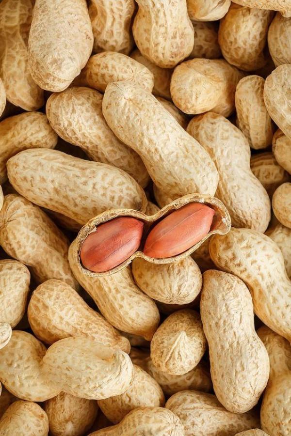  Vente D'arachide - fruits et légumes dispose actuellement d’un stock disponible de 70 tonnes d’arachide pret &agrave; la vente. qualit&eacute; export – disponibilit&eacute; imm&eacute;diate. n’h&eacute;sitez pas &agrave; nous contacter pour plus d’informations.