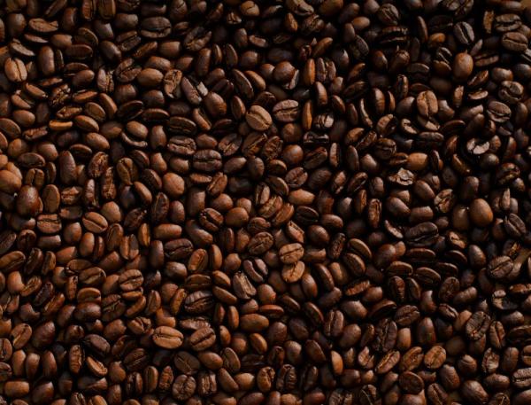  Bon Café, Bon Prix Par Tonne Ou En Détale - café cacao thé bon caf&eacute; bon prix par tonne en gros ou d&eacute;tale livraison rapide. caf&eacute; de bonne qualit&eacute; commande sur demande livraison rapide et fiable categorie cafe arabica caf&eacute; organico ( bio ) caf&eacute; robusta caf&eacute; th&eacute; chocolat