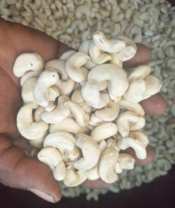  Cashews Noix De Cajou - fruits secs et graines grillées nous avons du cashews cajoux avec diff&eacute;rents grade w180/ w240/w320 tonne.si cela vous ou meme vous souhaitons travailler avec une quantit&eacute; plus important nous serions a mesure de vous trouver cela avec cette nouvelle campagne de r&eacute;colte. 