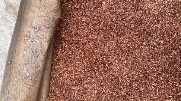  Coques De Cacao - café cacao thé besoin de plusieurs tonnes de coques de cacao pour export bien vouloir me faire des offres raisonnable blagueur s'abstenir 