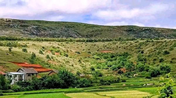  Terrain Vendre Madagascar - mine terrain concession  tany amidy – tompony mivantana ambatolampikely rn2 alohan'ny ahatongavana an'ambanintsena . ➡ miditra 5 km tany mamokatra tsara mety ferme & fambolena misy loharano tsy ritra mandava taona 29.750 m² (≈ 3 ha latsaka) – morcelable taratasy cadastre ( un seul signataire ) tonga '
