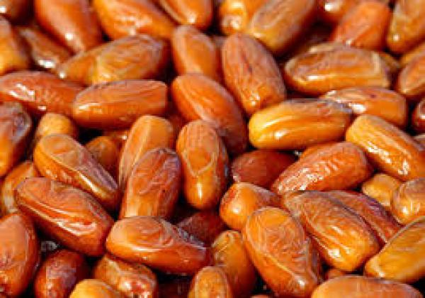  Dattes - fruits et légumes dattes origine tunisie ou alg&eacute;rie. disponible par conteneur maritime aux ports europ&eacute;ens ou autres. diff&eacute;rents emballages disponibles. 