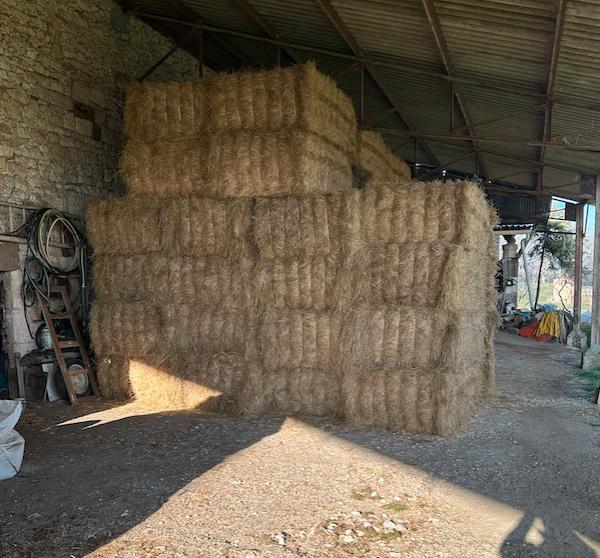  Foin Prairie 2025 - aliments pour animaux vends foin prairie naturelle 2025 tr&egrave;s bonne qualit&eacute; premi&egrave;re coute. le produit est stock&eacute; sous hangar. botte carr&eacute; 2m x 1m x 0 7m.