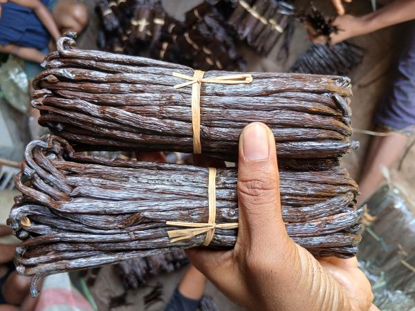  Vente Des Vanille Bourbon De Madagascar - Industrie exploitation vanille bourbon de madagascar gousses de qualit&eacute; premium 100 % naturelles ar&ocirc;me intense. disponible pour l’export – prix comp&eacute;titifs. contactez nous pour commandes et partenariats.