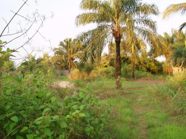  Investir En R.d.congo - energie renouvelable la r.d.c. (congo kinshasa) est un tr&egrave;s grand pays un pays en chantier un pays où les opportunit&eacute;s de travail sont pr&eacute;sentes pour ceux qui veulent s’en donner la peine. gr&acirc;ce &agrave; la nouvelle politique du pr&eacute;sident f&eacute;lix tshisekedi le pays offre des po