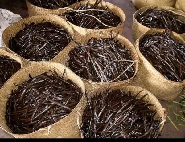  Vente De Vanille Naturelle De Qlté(comores) - épices aromates  !! nous proposons &agrave; la vente de la vanille naturelle de haute qualit&eacute; soigneusement s&eacute;lectionn&eacute;e et adapt&eacute;e aux besoins des professionnels (grossistes distributeurs transformateurs restaurateurs). ✔ origine comores ✔ qualit&eacute; vanille nature