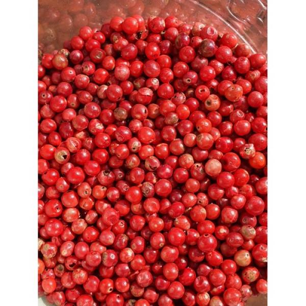  Recherche Producteurs De Baie Rose - épices aromates nous recherchons des producteurs collecteurs ou fournisseurs de baie rose &agrave; madagascar pour les grades 1 2 et 3. qualit&eacute; recherch&eacute;e export tra&ccedil;abilit&eacute; claire. types accept&eacute;s conventionnel / bio / fairtrade. merci de nous contacter en message