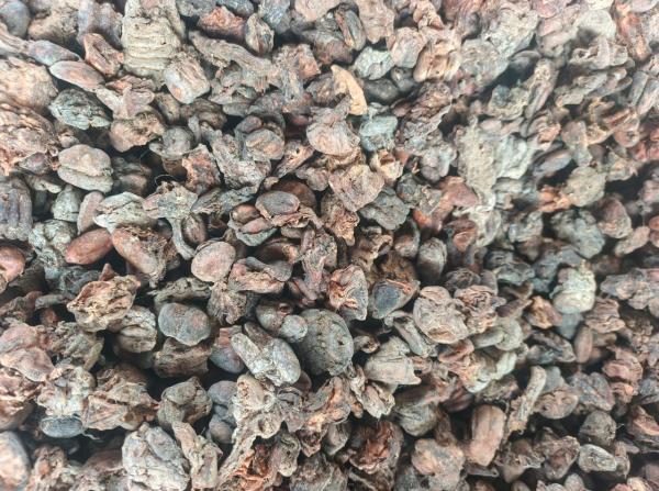  Sale Of Cocoa Grabot - café cacao thé cocoa grabot grabot de cacao origin ivory coast quantity 30 tons whatsap