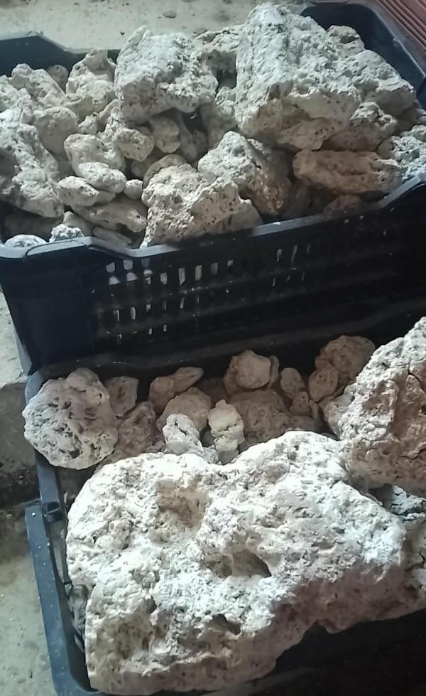  Ambre Gris Brut Naturel - hygiene entretien ambre gris naturel brut tr&eacute;sor oc&eacute;anique rare. puissant fixateur de parfums d'exception. authenticit&eacute; garantie et avec certificat d'analyse 